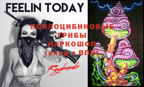 a pvp Горнозаводск