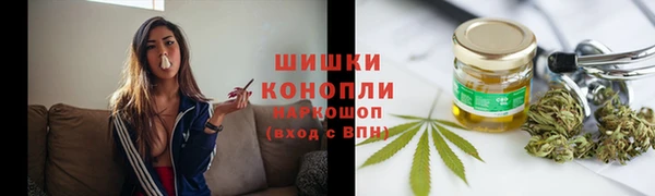 стафф Гусь-Хрустальный