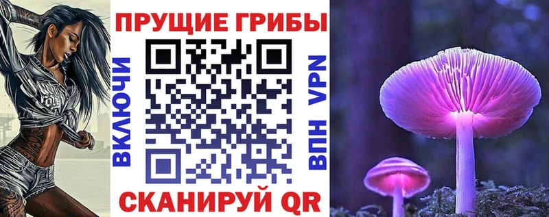 Купить где  Яхрома  Псилоцибиновые грибы Cubensis 
